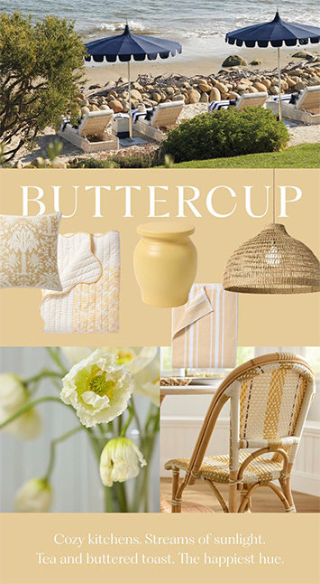 Buttercup